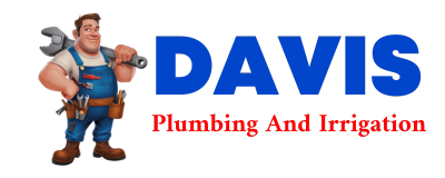 Trusted plumber in FULSHEAR